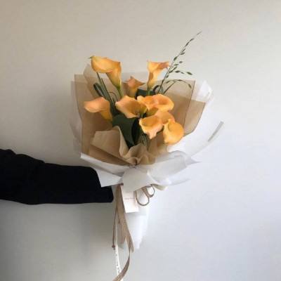 尊龙官方网站官网入口(官方)网站/网页版登录入口/手机版V5.3.9.456 -手机版